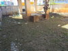 listing thumbnail image 4