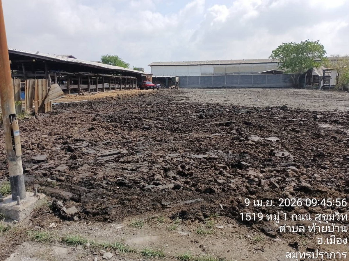 รูป ที่ดินเปล่าถมแล้ว ตำบลท้ายบ้าน อำเภอเมือง จังหวัดสมุทรปราการ - รูปที่ 7/7
