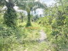 listing thumbnail image 15