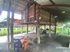 listing thumbnail image 27