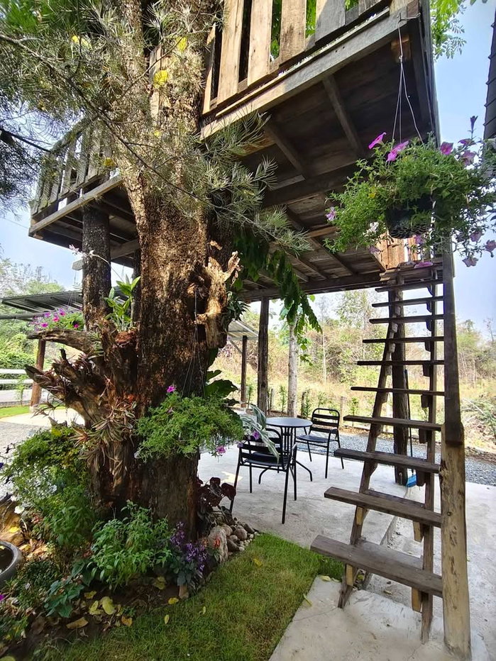 รูป 🏡 บ้านใหม่สไตล์คาเฟ่! วิวสวย บรรยากาศดี ดอยสะเก็ด ราคาหลักล้าน! T. 063-6649056 - รูปที่ 4/13