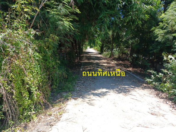 รูป ขายที่ดิน 39 ไร่ 63 ตร.ว. คลอง 12 หนองเสือ ปทุมธานี พื้นที่สีชมพู ติดถนน 4 ด้าน เหมาะลงทุน - รูปที่ 7/13