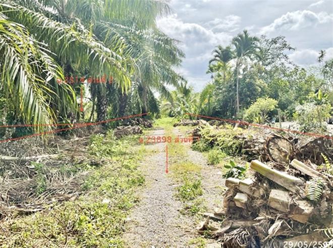 รูป ที่ดินว่างเปล่า 8152 ตร.วา บางสะพาน ประจวบคีรีขันธ์ 13.9M - รูปที่ 2/22