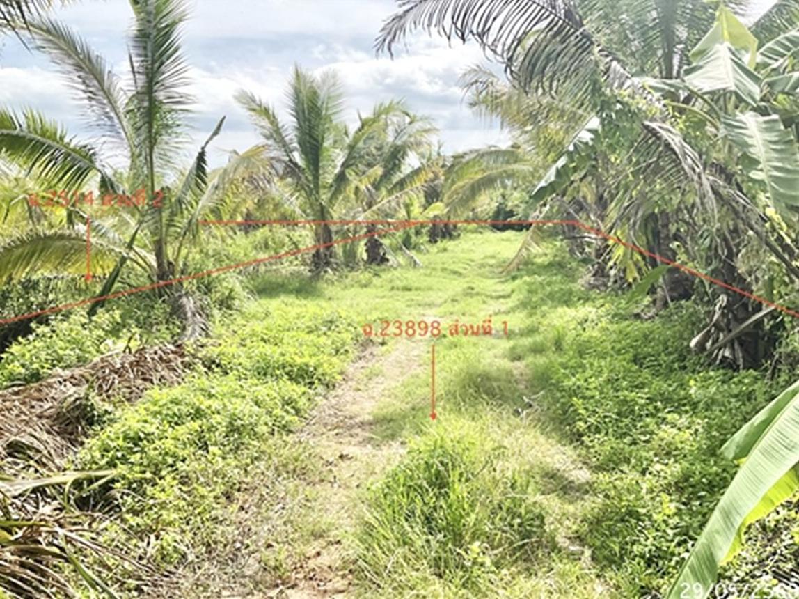 รูป ที่ดินว่างเปล่า 8152 ตร.วา บางสะพาน ประจวบคีรีขันธ์ 13.9M - รูปที่ 12/22