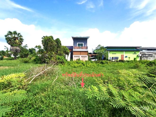 picture LAND 249 Sq.w. Singha Nakhon Songkhla for 4.5M - 4/18