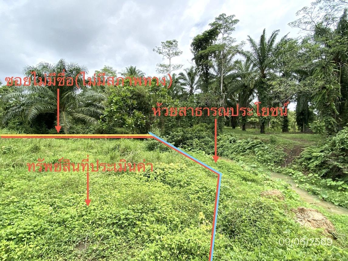 รูป ที่ดินว่างเปล่า 308.1 ตร.วา วังวิเศษ ตรัง 1.8M - รูปที่ 8/14