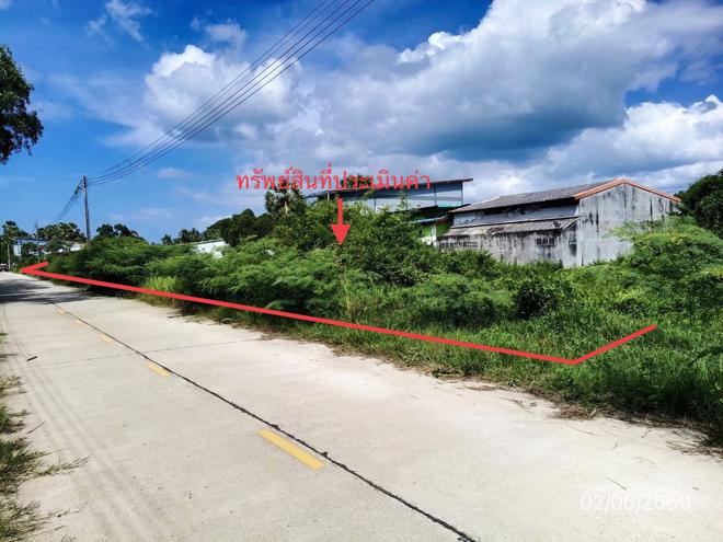 picture LAND 249 Sq.w. Singha Nakhon Songkhla for 4.5M - 3/18