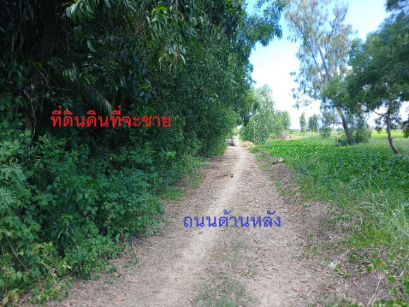 รูป ขายที่ดิน 39 ไร่ 63 ตร.ว. คลอง 12 หนองเสือ ปทุมธานี พื้นที่สีชมพู ติดถนน 4 ด้าน เหมาะลงทุน - รูปที่ 8/13