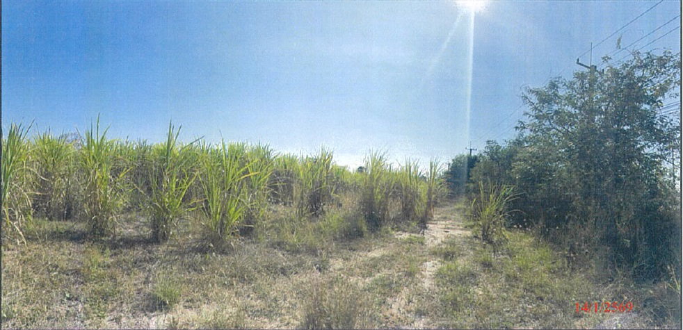 รูป ที่ดินเปล่า 6358 ตร.วา อำเภอลำปลายมาศ จังหวัดบุรีรัมย์ 13.5M - รูปที่ 12/15