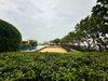 listing thumbnail image 24