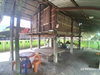 listing thumbnail image 12