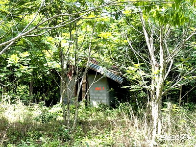บ้านเดี่ยว เขื่องใน อุบลราชธานี : บ้านเดี่ยว 398 ตร.วา เขื่องใน อุบลราชธานี 370,000