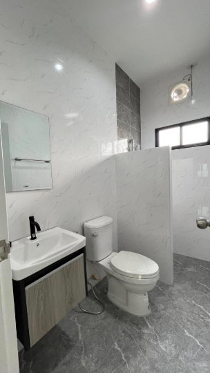 picture Brand New Single-Storey House for Sale - 8/11