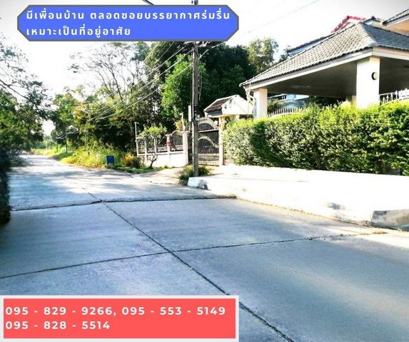 รูป ขายถูกที่ดินเท่าราคาประเมิน ถมสูงกว่าถนน 50 ซม. 98 วา ถนนกว้าง 10 ม. ซ.เอกรัตน์1 ใกล้ตลาดสัมมากรและ ม.รังสิต อ. เมือง ต. หลักหก จ.ปทุมธานี - รูปที่ 4/8