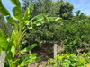 listing thumbnail image 26