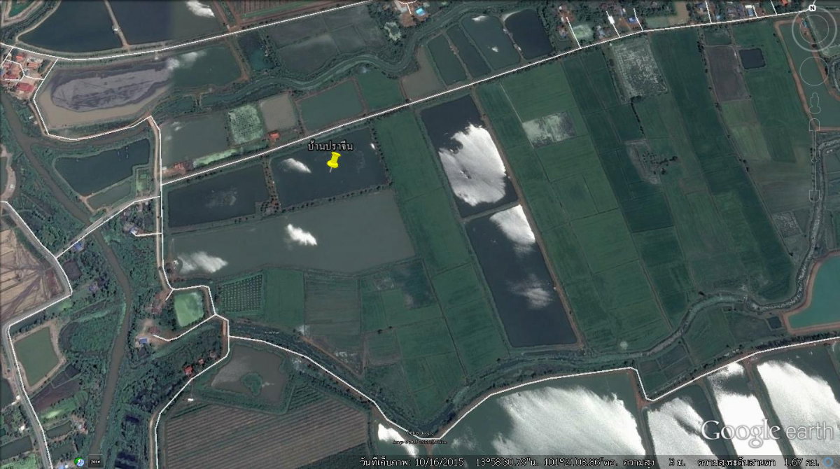 รูป ขายที่ดิน 54 ไร่ 86 ตรว.พร้อมบ้านพัก (แถมที่ดินให้ 6ไร่) ต.บางเดชะ อ.เมือง จ.ปราจีนบุรี - รูปที่ 2/5
