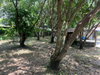 listing thumbnail image 23