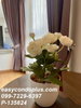 listing thumbnail image 6