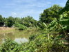 listing thumbnail image 32