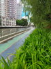 listing thumbnail image 31