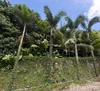 listing thumbnail image 14