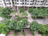 listing thumbnail image 12