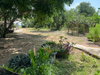 listing thumbnail image 41