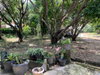 listing thumbnail image 40