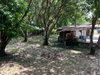 listing thumbnail image 15