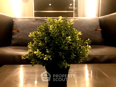 Condos for rent : High-Floor 1-BR 34 Sqm Ideo Q Siam-Ratchathewi, BTS Ratchathewi 300m (ID 409763)