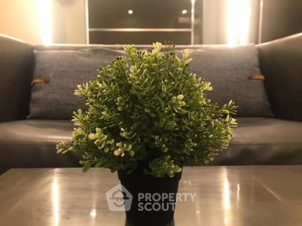 รูปภาพ คอนโด 1 ห้องนอน ชั้นสูง 34 ตร.ม. Ideo Q Siam-Ratchathewi ใกล้ BTS ราชเทวี 300 ม. (ID 409763)