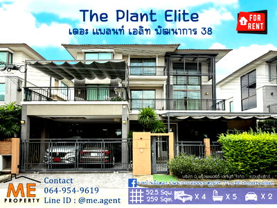 Houses for rent Bangkok :  For Rent  Single house The Plant Elite Pattanakarn 38 4 Bedrooms, 5 Bathrooms + Maid's room, fully furnished, good location  (RBL12-52) 