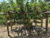 listing thumbnail image 29
