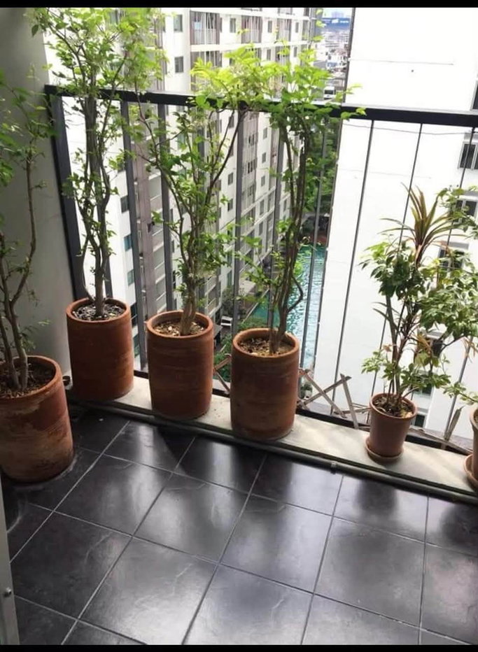 picture #SC15720 📌 Rent | 🟦🟨A Space Asoke - Ratchada🟥🟩💬 𝑪𝒐𝒏𝒕𝒂𝒄𝒕 𝑳𝑰𝑵𝑬: @𝒔𝒆𝒄𝒓𝒆𝒕𝒑𝒓𝒐𝒑𝒆𝒓𝒕𝒚 🔥✨ - 9/9