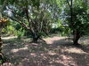 listing thumbnail image 21