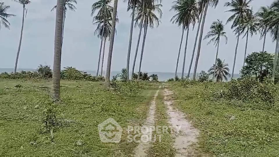 รูป ที่ดินสำหรับขาย ใกล้ นาหู่กวาง ทับสะแก ประจวบคีรีขันธ์ (ID 3100623) - รูปที่ 3/5