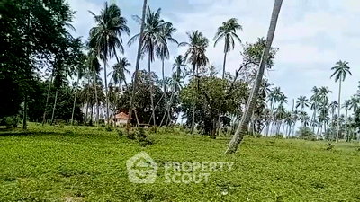 Land for sale Thap Sakae Prachaubkirikhan : Land For Sale Near Na Hu Kwang, Thap Sakae, Prachuap Khiri Khan (ID 3100623)