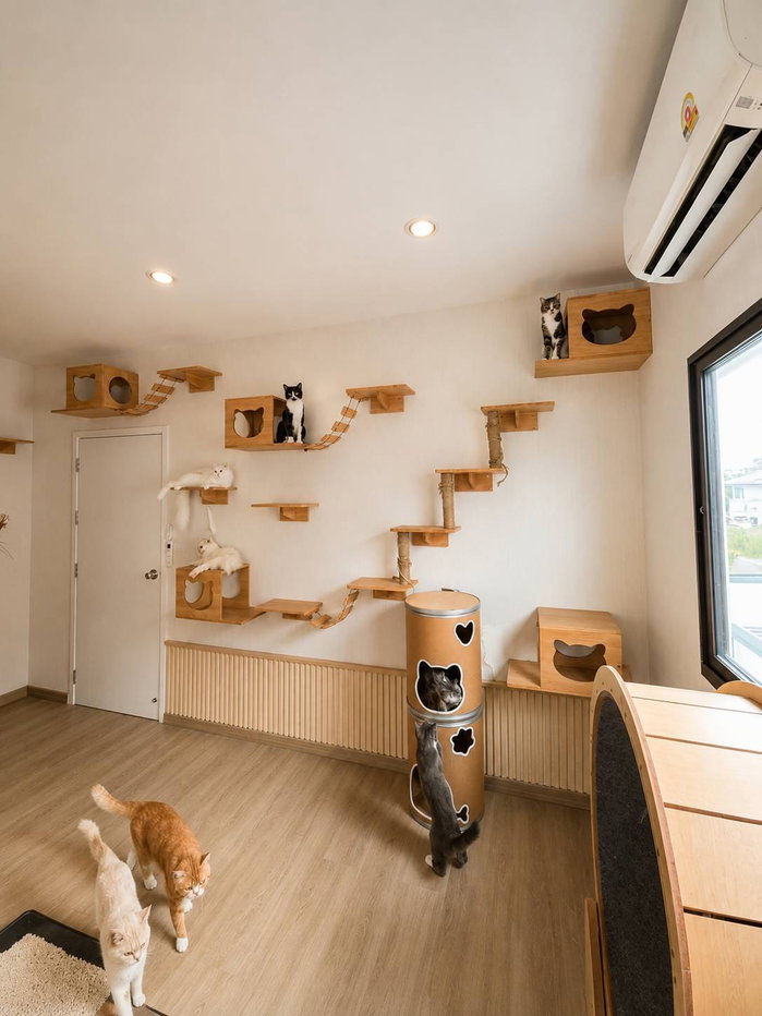 รูป ให้เช่าบ้านเดี่ยวหรู ใกล้ฟิวเจอร์รังสิต โครงการภัสสร รังสิต–อเวนิว พื้นที่ใช้สอย 210 ตรม. ที่ดิน 61 ตรว. - รูปที่ 19/27