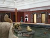 listing thumbnail image 26