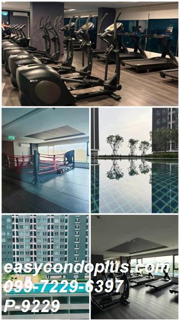 รูป 🏷️ P-9229 | Regent Home Bangna (รีเจ้นท์โฮม บางนา) ครบทุกความสะดวกสบาย ใกล้ BTS บางนา 10,500 บ. | Line ID: @easycondoplus | 099-229-6397 - รูปที่ 9/13