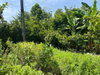 listing thumbnail image 30