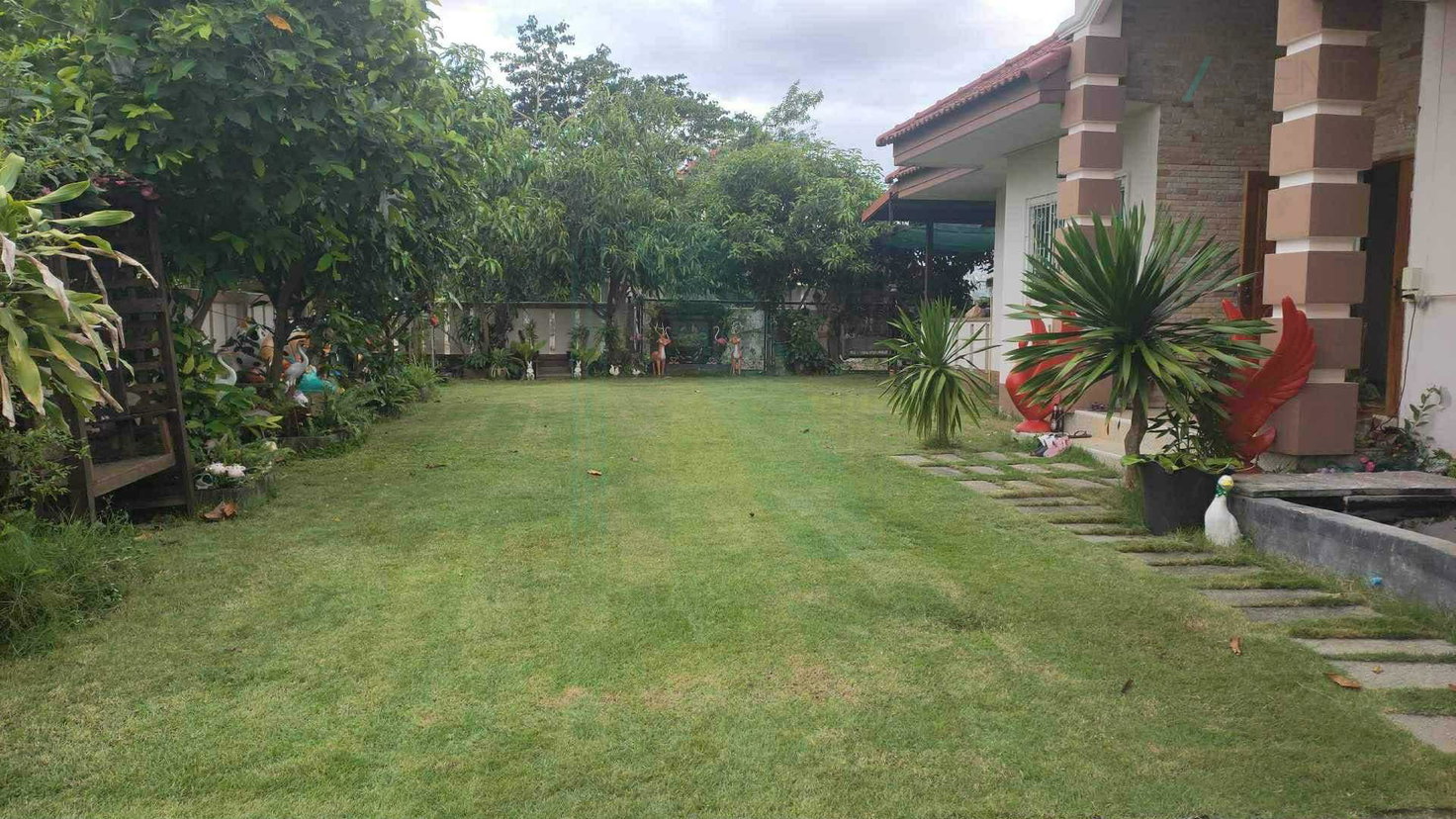 รูป ขายบ้านเดี่ยว โครงการ บ้านจิตรมณี 1 ชั้น 3 ห้องนอน 2 ห้องน้ำ - รูปที่ 6/8