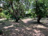 listing thumbnail image 17