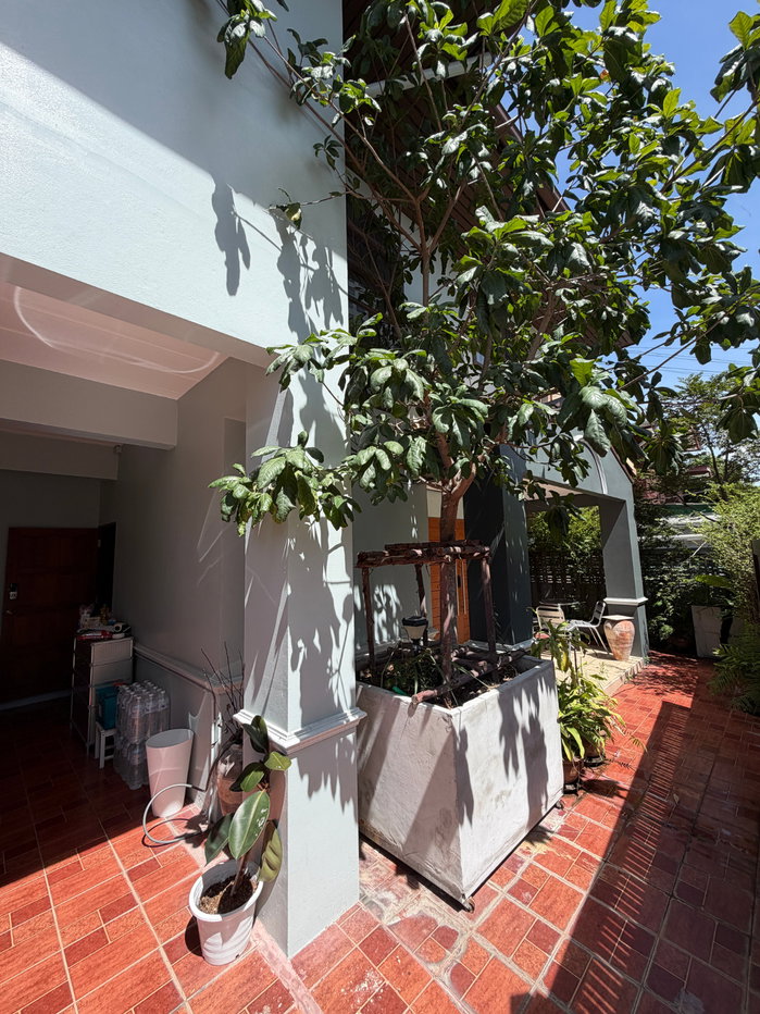 picture House for Rent | Single House Prachachuen 41 Property Code | LNP-H1094 - 6/18