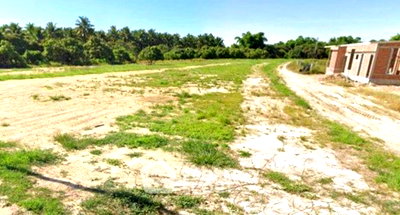 ที่ดิน สารภี เชียงใหม่ : ขายที่ดิน ในทำกวง สารภี เชียงใหม่ 📍 (ID 3082462)