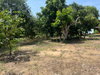 listing thumbnail image 27