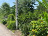 listing thumbnail image 25