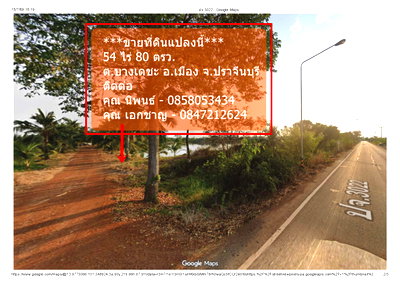 ขายที่ดิน : ขายที่ดิน 54 ไร่ 86 ตรว.พร้อมบ้านพัก (แถมที่ดินให้ 6ไร่) ต.บางเดชะ อ.เมือง จ.ปราจีนบุรี