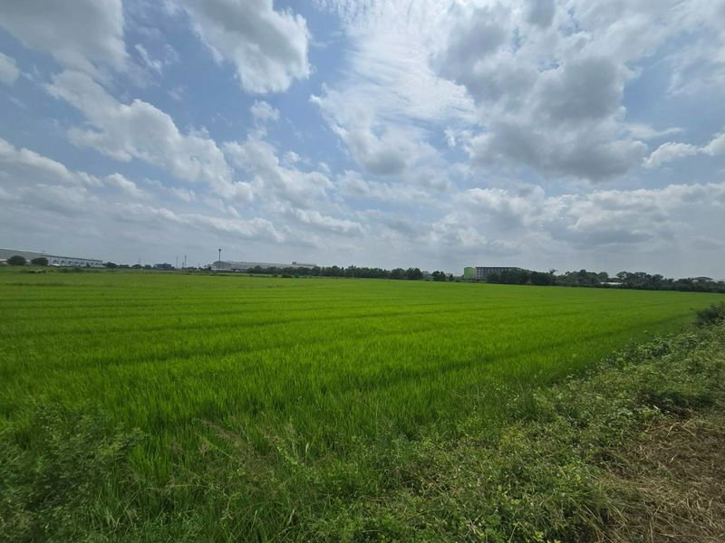 รูป ขายด่วนที่ดินทำเลทอง ศักยภาพสูง ติดถนนเส้นหลัก บางบัวทอง นนทบุรี - รูปที่ 10/18