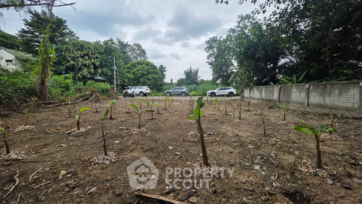 picture Land For Sale Nong Khwai Hang Dong Chiang Mai (ID 3100477) - 4/4